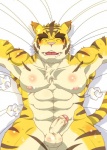 2013 abs anthro balls biceps big_muscles blush body_markings erection eyes_closed feline flaccid fur lying male mammal markings morenatsu muscles nipples nude on_back pecs penis sleeping solo stripes tiger torahiko_ooshima uncut unknown_artist
Rating: Explicit
Score: 4
User: BlackBoltEX
Date: August 17, 2013