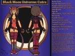 alternate_universe eye_scar facial_scar female scar solo text toeless_legwear drake-rex masters_of_the_universe mattel netflix she-ra_(copyright) she-ra_and_the_princesses_of_power catra_(she-ra) animal_humanoid cat_humanoid felid felid_humanoid feline feline_humanoid felis humanoid mammal mammal_humanoid wildcat 4:3 english_text hi_res model_sheet