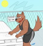 anthro big_butt bodily_fluids bottomwear bulge butt car cheek_tuft chest_tuft clothing cloud facial_tuft head_tuft inner_ear_fluff male muscular muscular_anthro open_mouth shirt shorts sign simple_background solo sun sweat tail tank_top teeth tongue toony topwear tuft vehicle chadzadd dennis_(chadzadd) canid canine canis mammal wolf hi_res