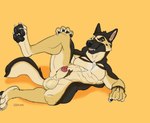 abs animal_genitalia anthro balls bent_legs genitals looking_at_viewer lying male muscular on_back open_mouth open_smile pawpads penis penis_tip raised_leg sheath smile solo lddraws canid canine canis domestic_dog german_shepherd herding_dog mammal pastoral_dog absurd_res hi_res