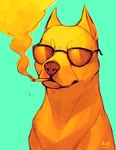 acid_trip ambiguous_gender brown_nose chromatic_aberration cigarette eyewear feral green_background simple_background smoke smoking solo sunglasses what falvie canid canine canis dogo_argentino domestic_dog mammal mastiff molosser 2014 digital_media_(artwork) lol_comments signature