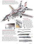 2016 aircraft airplane biology cell_(organism) dire_aircraft dire_machine dire_vehicle english_text f-14 f-14_tomcat female genitals grumman hi_res jet living_aircraft living_machine living_vehicle machine male metal_penis not_furry penis pussy ratbat solo text vehicle