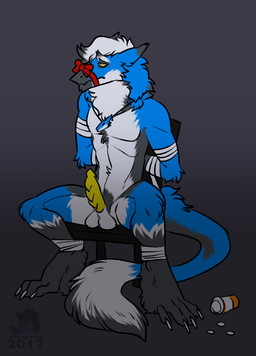 anthro balls bdsm bondage bound chair erection fur furniture genitals male muzzle_(object) muzzled nude penis solo submissive submissive_male tail skdaffle viagra axel_(axelthesergal) mammal sergal 2016 hi_res