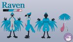 absurd_res animal_genitalia avian avian_feet bird blue_jay bodily_fluids claws cloaca corvid corvus_(genus) cum feathers feet genital_fluids genitals hi_res hyperchibiabsol jay_(bird) male model_sheet new_world_jay oscine passerine penis raven raven_the_blue_jay talons tapering_penis toes wings