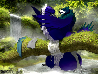 anthro balls big_balls big_penis bodily_fluids clothing cum feathers feet foreskin forest genital_fluids genitals huge_balls huge_penis humanoid_genitalia humanoid_penis hyper hyper_balls hyper_genitalia hyper_penis looking_pleasured male nude orgasm penis plant solo talons toes tree water waterfall owligatorstudios avian 2023 absurd_res hi_res