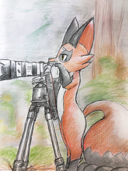 ambiguous_gender black_body black_fur camera feral fur orange_body orange_fur solo tripod yellow_eyes eiroru nintendo pokemon canid canine generation_8_pokemon mammal nickit pokemon_(species) 2020 3:4 graphite_(artwork) hi_res traditional_media_(artwork)
