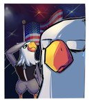 american_flag anthro beak biped black_clothing black_eyes black_topwear black_vest bodily_fluids border bottomless canton clothed clothing detailed_background eyes_closed feathered_wings feathers finial fireworks flag flag_(object) flagpole front_view gesture grey_body grey_feathers holidays light male multicolored_body multicolored_feathers night outside patriotism pole politics salute scutes sky solo standing tears topwear two_tone_body two_tone_feathers united_states_of_america vest white_body white_border white_feathers wings yellow_beak senxshine 4th_of_july animal_crossing nintendo apollo_(animal_crossing) accipitrid accipitriform avian bald_eagle bird eagle sea_eagle 2018 digital_media_(artwork) hi_res lighting shaded