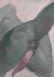 animal_genitalia anus erection genital_slit genitals low-angle_view male penis solo tapering_penis atlchirico scalie colored_sketch hi_res sketch