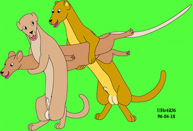 animal_genitalia balls brown_body brown_fur carrying_another female feral fur genitals green_background group happy male male/female sheath simple_background smile tail tan_body tan_fur trio urbanhermit mammal murid murine mustelid musteline rat rodent true_musteline weasel 1996 colored dated