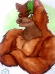 anthro brown_body brown_eyes brown_fur canid canine canis crossed_arms eyebrows fangs fluffy fur inner_ear_fluff looking_at_viewer male mammal markings multicolored_body multicolored_fur muscular muscular_anthro muscular_male one_eye_closed rexevabonita_(artist) solo teeth tuft two_tone_body two_tone_fur w0lfb3at5 wink wolf