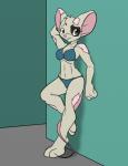 against_surface against_wall anthro bra breasts cancer_(disease) clothed clothing exposure_variation female front_view grey_eyes hair_loss simple_background skimpy solo standing three-quarter_view underwear muniversalarts antonya_flynn mammal mouse murid murine rodent hi_res