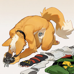 all_fours anthro balls chastity_cage chastity_device clothes_on_floor dipstick_tail fur genitals key kneeling male markings nude offering_key orange_body orange_fur sex_slave simple_background slave solo submissive submissive_male tail tail_markings white_background snowkiltu nintendo star_fox fox_mccloud canid canine fox mammal