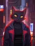 anthro biped black_body black_fur building city clothing cyberpunk fur futuristic hoodie looking_at_viewer male neon neon_sign pupils shirt sign slit_pupils soft_lighting solo t-shirt topwear whiskers yellow_eyes hacatiko domestic_cat felid feline felis mammal 2024 3:4 hi_res