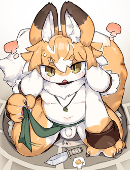 anthro asian_clothing balls biped blush brick_floor brown_eyes clothed clothing clothing_lift confusion dipstick_ears dipstick_tail ear_markings east_asian_clothing flaccid foreskin front_view fundoshi fur genitals gloves_(marking) high-angle_view humanoid_genitalia humanoid_penis japanese_clothing jewelry knife leg_markings loincloth_lift looking_at_viewer male male_anthro markings moobs mostly_nude mostly_nude_anthro mostly_nude_male multicolored_ears necklace nipples orange_body orange_fur penis simple_background sitting sitting_on_ground slightly_chubby slightly_chubby_anthro slightly_chubby_male small_penis socks_(marking) solo tail tail_markings triangle_mouth underwear unretracted_foreskin white_background white_body white_fur ookm inari_(mofuaki) canid canine fox mammal 2026 digital_drawing_(artwork) digital_media_(artwork) pictographics shaded soft_shading