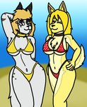 anthro beach bikini breasts clothing collar duo female female/female front_view polka_dot_bikini swimwear three-quarter_view two-piece_swimsuit under under_boob dank-artistic-fox sarah_(galajo) canid canine mammal hi_res