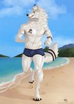 anthro athletic beach bottomwear canid canine canis clothing hi_res maaia male mammal muscular running seaside shorts solo tattoo text wolf