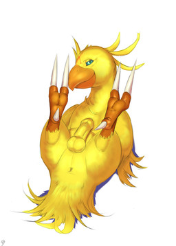 anus avian_butt balls beak bedroom_eyes butt erection feral foreskin genitals half-closed_eyes humanoid_genitalia humanoid_penis legs_up long_foreskin long_neck looking_at_viewer lying male narrowed_eyes on_back penis seductive simple_background slightly_chubby solo unretracted_foreskin white_background seyrmo final_fantasy square_enix avian chocobo hi_res signature source_request