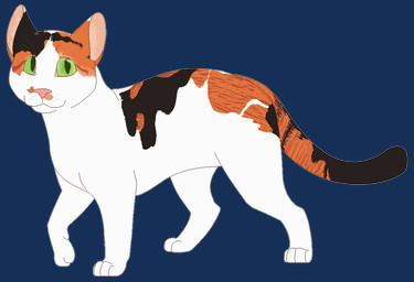 ambiguous_gender black_body black_fur digitigrade feral fur green_eyes orange_body orange_fur paws pink_inner_ear pink_nose simple_background solo standing tail transparent_background whisker_spots white_body white_fur sebdoggo calico_cat domestic_cat felid feline felis mammal 2017 alpha_channel digital_drawing_(artwork) digital_media_(artwork) flat_colors full-length_portrait microsoft_paint_(artwork) portrait