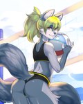 anthro athletic_wear ball beach_ball butt exercise_clothing femboy inflatable looking_at_viewer looking_back male smile solo standing hyattlen ricky_(lad13) canid canine mammal 4:5 digital_media_(artwork) shaded