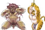 anthro balls belly bound duo fur genitals kemono male moobs navel nipples overweight overweight_male penis pubes rope simple_background white_background yellow_body yellow_fur kira_nerisu felid lion mammal pantherine tiger 2010