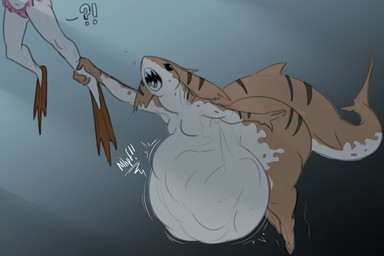 anthro belly big_belly bloated breasts brown_body featureless_breasts female female_pred group small_breasts tail thick_thighs underwater vore water dongwongtang aquatic fish human mammal shark 2018