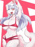 5_fingers anthro big_breasts bikini bottomwear breasts brown_nose cheek_tuft claws clothed clothing cute_fangs facial_markings facial_tuft fangs female female_anthro fingers fluffy fluffy_tail fur grey_body grey_fur grey_hair hair happy head_markings huge_breasts inner_ear_fluff kemono long_hair looking_at_viewer markings navel nipple_outline open_mouth open_smile pawpads raised_arm red_eyes smile solo swimwear tail teeth tongue topwear tuft two-piece_swimsuit white_body white_fur sya tamamo-chan's_a_fox tamamo_fushimi canid canine fox mammal 2021 3:4 digital_media_(artwork) hi_res portrait three-quarter_portrait