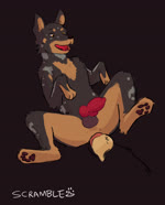 anal anal_penetration animal_genitalia animal_penis anthro anthro_on_feral anthro_penetrating anthro_penetrating_feral balls bestiality black_body black_fur canine_genitalia canine_penis duo erection feral feral_penetrated fur genitals interspecies knot male male/male male_penetrated male_penetrating male_penetrating_male pawpads paws penetration penile penile_penetration penis sex simple_background tongue spruceloops dali_(spruceloops) beauceron canid canine canis domestic_dog herding_dog mammal pastoral_dog animated hi_res loop no_sound webm