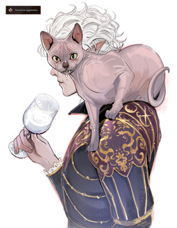 container cup drinking_glass duo feral glass glass_container glass_cup hair hairless humanoid_pointy_ears looking_at_viewer male milk pointy_ears white_hair wine_glass ribbonentrails baldur's_gate baldur's_gate_3 bioware dungeons_and_dragons electronic_arts hasbro larian_studios wizards_of_the_coast astarion_(baldur's_gate) his_majesty domestic_cat elf felid feline felis hairless_cat humanoid mammal sphynx_(cat) vampire hi_res