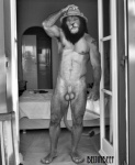 animal_genitalia anthro armpit_hair balls body_hair clothing fully_sheathed genitals hat headgear headwear male mane muscular muscular_anthro muscular_male sheath solo tail tarolyon third-party_edit felid lion mammal morph pantherine greyscale monochrome photo_manipulation