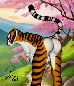 abdominal_bulge anthro anthro_pred athletic bent_over breasts bubble_butt butt female female_pred genitals larger_pred looking_at_viewer nature nude pose size_difference sunset tail unseen_prey vore vulva dragonczech dreamworks kung_fu_panda master_tigress felid feline mammal pantherine tiger detailed hi_res