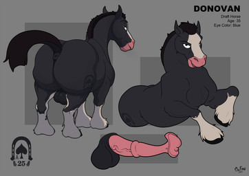 animal_genitalia animal_penis anus balls big_balls big_butt butt dock_(anatomy) equine_anus equine_genitalia equine_penis feral flared_penis genitals hooves huge_butt male medial_ring penis puffy_anus raised_tail rear_view solo tail tail_anus text vein veiny_penis mcfan equid equine mammal english_text hi_res model_sheet
