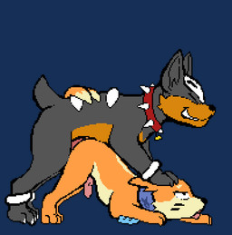 abdominal_bulge against_floor anal anal_penetration animal_genitalia animal_penis ass_up back_markings bodily_fluids butt_jiggle canine_genitalia canine_penis claws clenched_teeth collar curling_toes doggystyle duo eyes_closed face_squish feet feral feral_on_feral feral_penetrated feral_penetrating feral_penetrating_feral from_behind_position genitals hand_on_head jiggling male male/male markings motion_blur motion_lines narrowed_eyes penetration penis pushing_down pushing_head raised_tail sex spiked_collar spikes squish tail tears teeth toe_claws tongue tongue_out yutz_(artist) nintendo pokemon junk_(junkhoundour) soggy_(soggybuizel) buizel generation_2_pokemon generation_4_pokemon houndour pokemon_(species) animated animated_gif digital_media_(artwork) pixel_(artwork) pixel_animation short_playtime