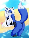 anthro beach big_breasts bikini black_bikini black_body black_clothing black_fur black_nose black_swimwear blue_eyes breasts butt cleavage clothed clothing detailed_background dipstick_tail female fur hair long_hair markings one_eye_closed outside pose sand seaside skimpy sky smile solo swimwear tail tail_markings thong tight_clothing two-piece_swimsuit underwear water white_body white_fur white_hair wink skidd katrin ambient_sealife ambient_starfish asterozoan canid canine echinoderm fox mammal marine starfish 2011 hi_res