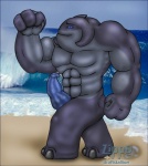 abs beach biceps big_muscles big_penis blue_eyes blue_penis detailed_background erection flexing genitals male muscular muscular_male no_pupils outside pecs penis sand seaside sky solo unusual_anatomy unusual_genitalia unusual_penis water draftstallion2005 zippo_(artist) disney lilo_and_stitch gantu alien colored hi_res