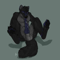 animal_genitalia animal_penis anthro athletic athletic_anthro athletic_male autofellatio balls black_body black_fur blue_body blue_fur blue_penis bodily_fluids canine_genitalia canine_penis countershade_balls countershade_crotch countershade_face countershade_genitalia countershade_torso countershading dripping erection fur genital_fluids genitals grey_body grey_fur knot knotted_penis male male_anthro masturbation nipples nude nude_anthro nude_male open_mouth oral oral_masturbation pawpads penile penile_masturbation penis precum precum_drip sheath simple_background solo spread_legs spreading tail tongue tongue_out whiskers themutt zadir canid canine canis mammal wolf 1:1 2018 hi_res