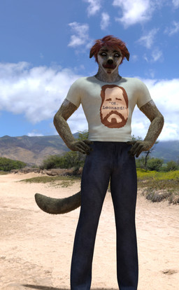 anthro beach clothing hair husky_retriever_mix male modelling shirt solo topwear perturbedmania zander_murphy canid canine canis domestic_dog mammal 3d_(artwork) absurd_res daz_studio_(artwork) digital_media_(artwork) hi_res