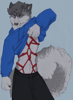 angry annoyed anthro bdsm blue_background blue_eyes bondage bottomwear bound clothed clothing clothing_lift curled_tail fluffy fluffy_tail fur grey_body grey_fur hoodie hoodie_lift male male_anthro nipples pants presenting restraints rope rope_bondage rope_harness simple_background snarling solo sweatpants tail topwear kitdoll ac. canid canine canis mammal wolf hi_res