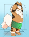 anthro anthrofied belly boxers_(clothing) clothing eyes_closed fur green_boxers green_clothing green_underwear kemono male overweight overweight_male solo stretching striped_body striped_fur stripes underwear inunoshippo nintendo pokemon arcanine canid canine generation_1_pokemon mammal pokemon_(species) 2023 hi_res