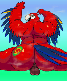 anthro anthrofied anus balls barazoku beak big_butt blue_body blue_feathers brazilian butt butt_focus db_group db_supermarket feathered_wings feathers fur genitals glistening glistening_body looking_at_viewer looking_back looking_down male mascot red_body red_fur red_skin solo spread_legs spreading steam steaming_body sticker thick_thighs tucumano white_beak wings ritcherr ara_(genus) avian bird macaw neotropical_parrot parrot scarlet_macaw true_parrot