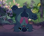 2_anuses 2_penises 4_toes alien anus balls big_ears big_nose black_eyes blue_anus blue_balls blue_body blue_claws blue_fur blue_nose blue_pawpads butt claws diphallism disney experiment_(lilo_and_stitch) feet feral fur genitals handstand hi_res horizontal_diphallism lilo_and_stitch looking_at_viewer male male_presenting monocerus multi_anus multi_genitalia multi_penis notched_ear outside pawpads paws penis pink_penis presenting presenting_anus presenting_hindquarters presenting_penis screencap screencap_background short_tail solo stitch_(lilo_and_stitch) tail third-party_edit toes upside_down watermark