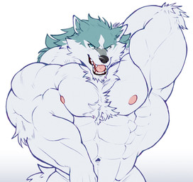 abs anthro big_muscles black_nose blue_body blue_fur chest_tuft flexing fur green_eyes huge_muscles hyper hyper_muscles inner_ear_fluff male multicolored_body multicolored_fur muscular muscular_male navel nipples pink_nipples pink_tongue pose simple_background solo tongue tuft white_body white_fur kinaruoopsy brand_new_animal studio_trigger shirou_ogami canid canine canis mammal wolf hi_res