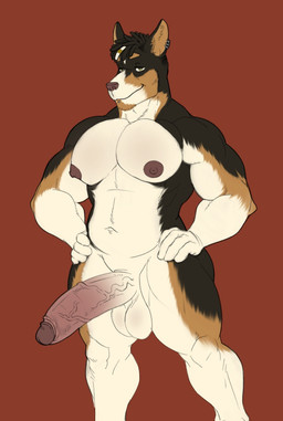 anthro back_muscles balls balls_blush balls_outline barazoku big_chest big_penis black_body black_fur blush body_blush bulge detailed_bulge dreadlocks ear_piercing ear_ring facial_piercing fur genital_outline genitals humanoid_genitalia humanoid_penis labret_piercing lip_piercing male musclegut muscular muscular_anthro muscular_male navel nipples penis piercing ring_piercing solo vein veiny_penis hunnipanda thickkitty15 dion_(hunnipanda) canid canine canis domestic_dog herding_dog mammal pastoral_dog welsh_corgi hi_res