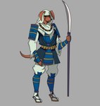 5_fingers anthro armor blue_armor clothed clothing female fingers floppy_ears footwear fully_clothed fur grey_background hair holding_object holding_weapon hood jewelry necklace shoulder_armor simple_background sode solo standing tail weapon palesnake chuji_(palesnake) canid canine canis domestic_dog mammal 2024 absurd_res digital_drawing_(artwork) digital_media_(artwork) full-length_portrait hi_res portrait