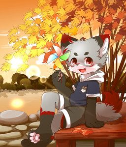 anthro autumn_leaves big_eyes biped cute_fangs fangs fur grey_body grey_fur kemono male orange_eyes slim_anthro slim_male solo teeth white_body white_fur young young_anthro young_male hlg7777 canid canine fox mammal 2020 hi_res