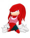 anthro erection genitals humanoid_genitalia humanoid_penis male penis solo glacierk sonicharinezumi sega sonic_the_hedgehog_(series) knuckles_the_echidna echidna mammal monotreme 4:5 hi_res