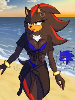 anthro beach bikini bikini_bottom bikini_top biped black_body black_fur breasts clothed clothing crossgender duo ear_piercing ear_ring eyelashes female fur hair lipstick makeup male mtf_crossgender outside piercing ring_piercing sand seaside sky standing sunset swimwear tail two-piece_swimsuit water aoibeast sega sonic_the_hedgehog_(series) shadow_the_hedgehog sonic_the_hedgehog eulipotyphlan hedgehog mammal 3:4 absurd_res digital_media_(artwork) hi_res
