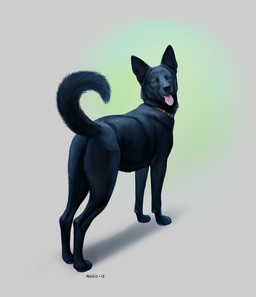 ambiguous_gender black_body black_fur black_nose collar eyes_closed feral fur paws quadruped simple_background solo standing tongue white_background anisis canid canine canis domestic_dog mammal 2015 hi_res