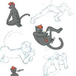 anthro anus black_body black_fur brown_eyes claws clothing crouching ear_piercing electronics eyebrows finger_claws flesh_tunnel footwear fur gauged_ear hair hand_on_butt kneeling lying male nude on_back pawpads phone piercing raised_tail red_hair simple_background socks solo stretching tail toe_claws tongue tongue_out tongue_piercing whisker_spots p_rindustries gale_(p_rindustries) felid mammal pantherine 1:1 2014 guide_lines hi_res sketch