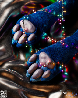 anthro black_background black_claws blue_body blue_fur christmas_decorations christmas_lights claws close-up close_view composition detailed_fur feet fluffy fur light looking_at_viewer male pawpads paws perspective pose posed realistic_fur simple_background soft_lighting solo still_life string_lights toe_claws toes daytia c4d canid canine fox mammal rexouium 3d_(artwork) 4:5 cinema_4d_(artwork) detailed digital_media_(artwork) hi_res lighting