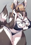 5_fingers anthro big_breasts blush bra breasts brown_body brown_fur claws cleavage clothed clothing female female_anthro finger_claws fingers fluffy frilly frilly_clothing frilly_underwear fur hair kemono leaning leaning_forward looking_at_viewer multicolored_body multicolored_fur navel neck_tuft orange_eyes panties solo tail tan_hair tuft two_tone_body two_tone_fur underwear underwear_only white_body white_fur sai_(artist) canid canine mammal 2022 digital_media_(artwork) hi_res